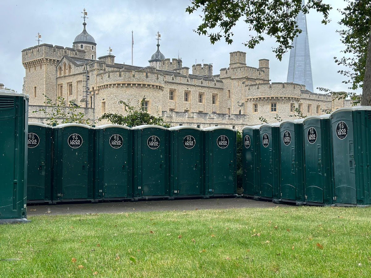 LOOS FOR DOs Ltd - Photo 4