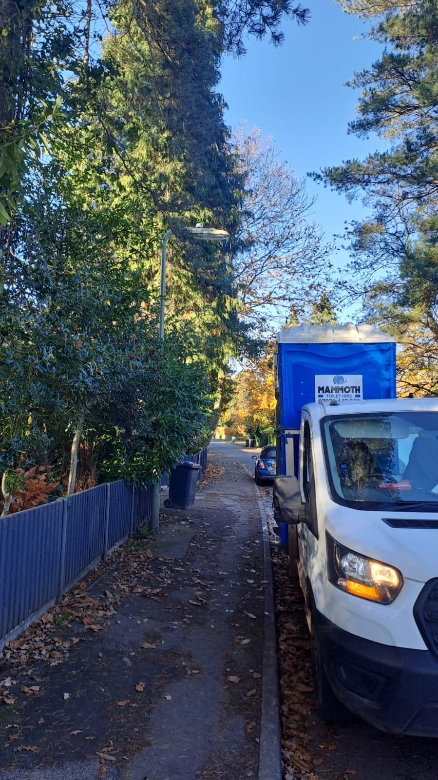 Mammoth Site Storage & Toilet Hire - Photo 5